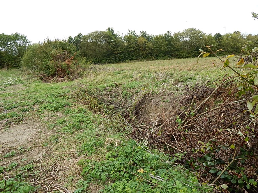 Lot Image