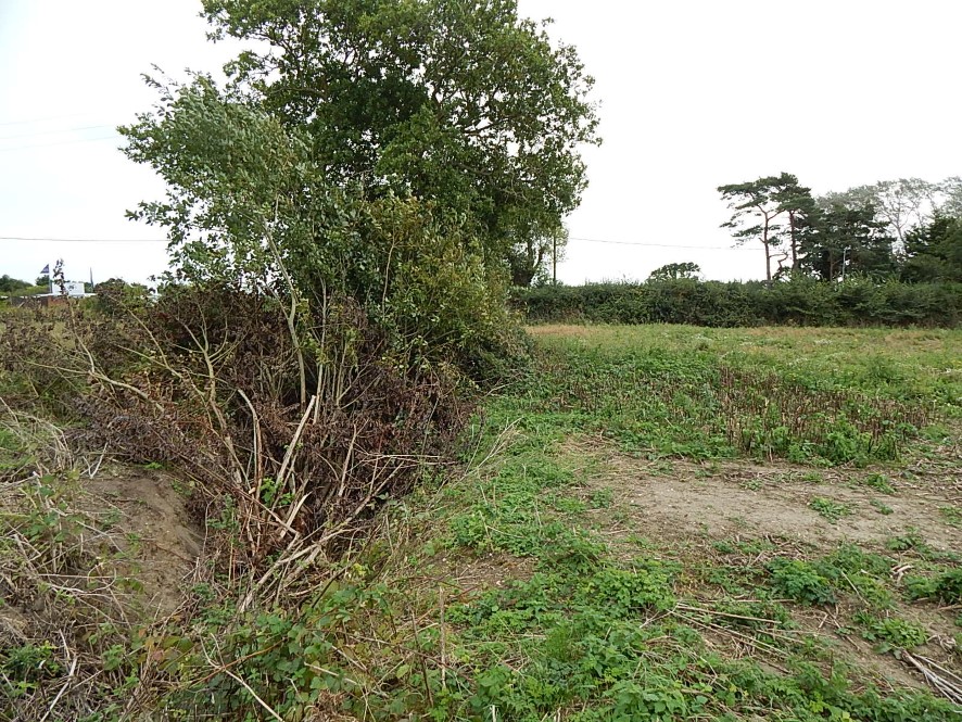 Lot Image