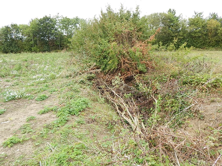 Lot Image