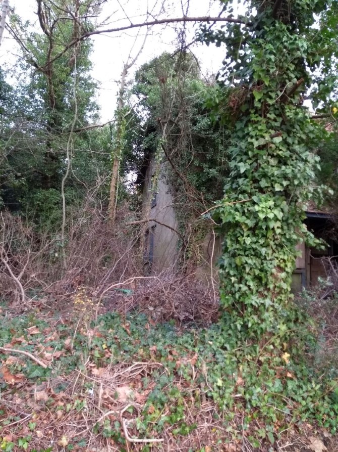 Lot Image