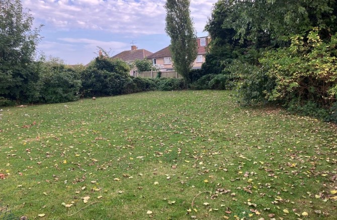 Lot Image