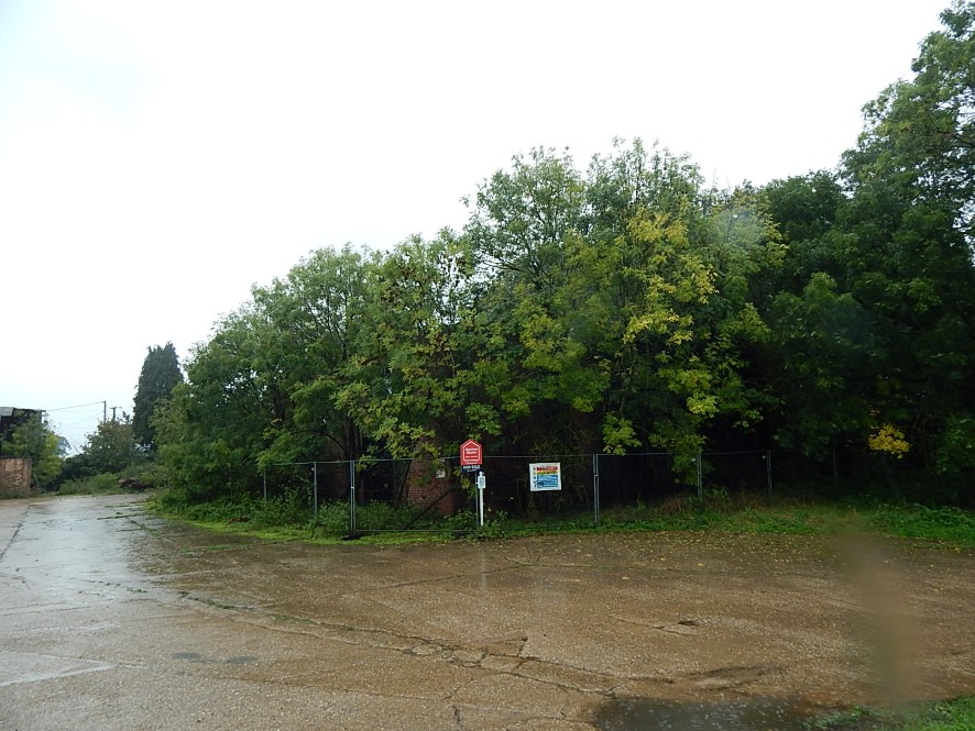 Lot Image