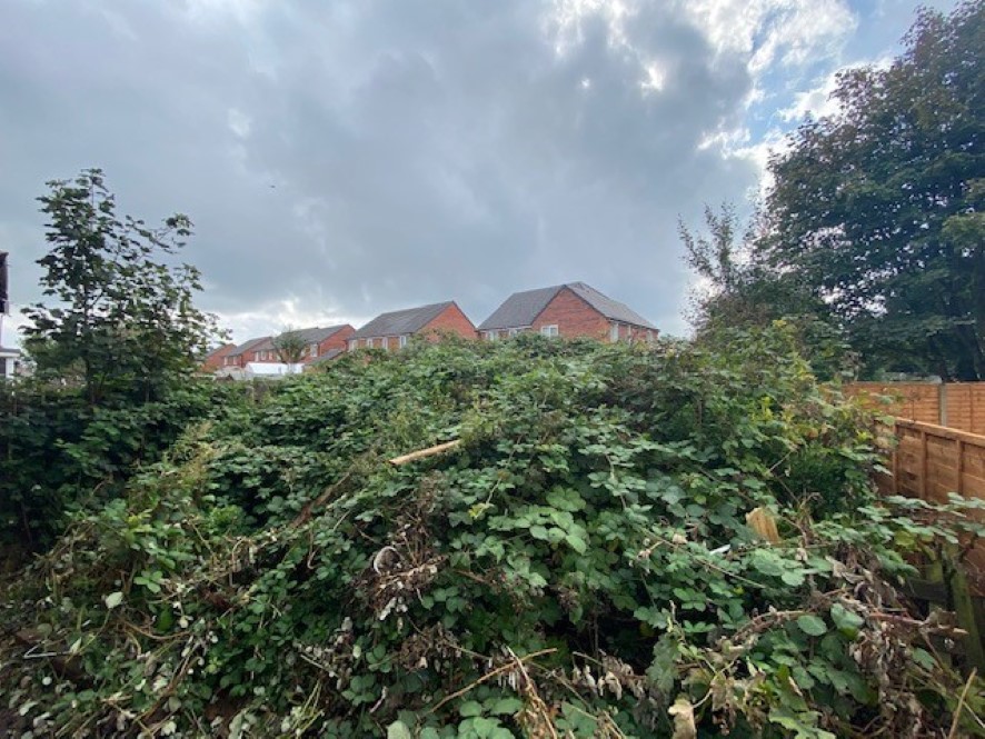 Lot Image