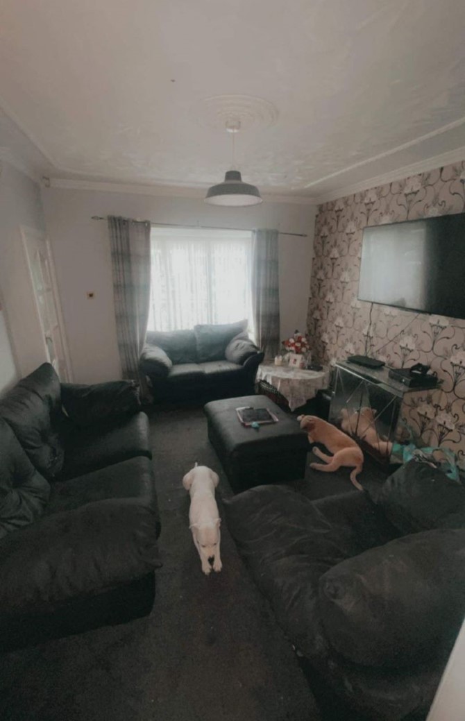 Lot Image