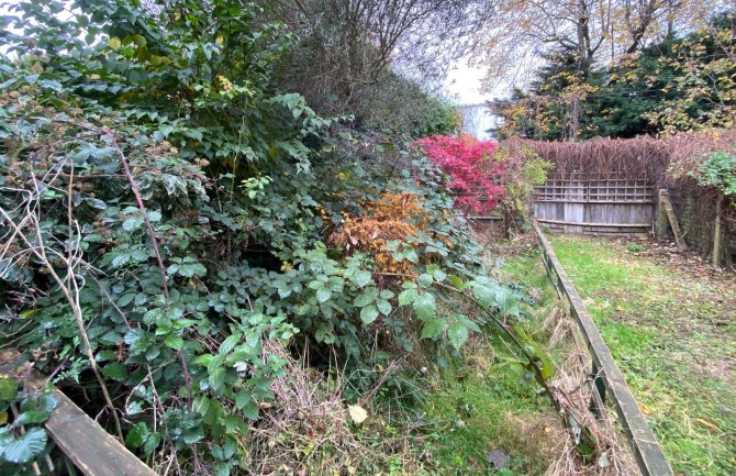 Lot Image