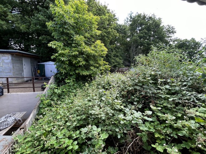 Lot Image