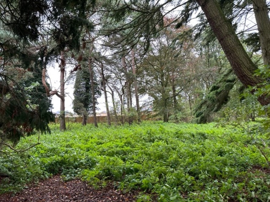 Lot Image