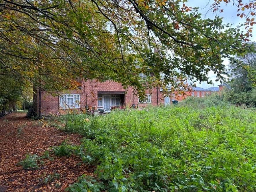 Lot Image