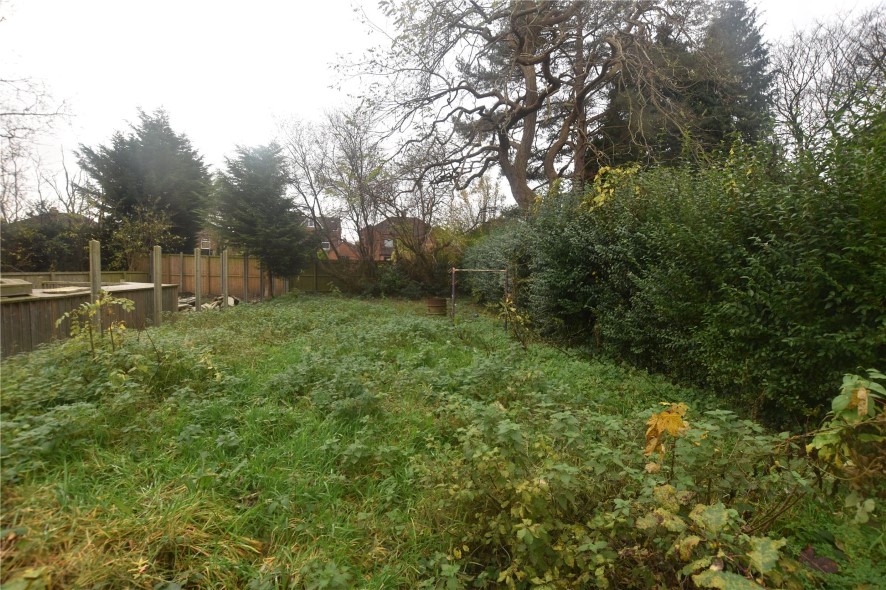 Lot Image