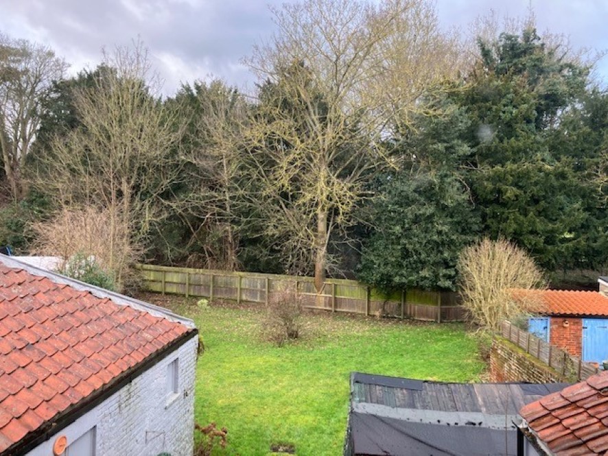Back garden