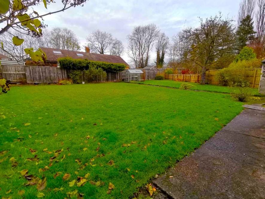 Lot Image