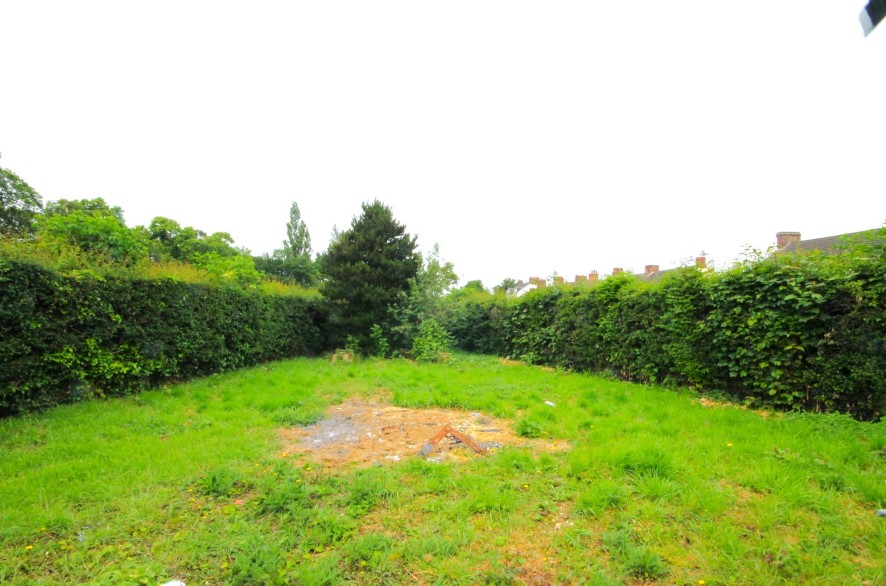 Lot Image