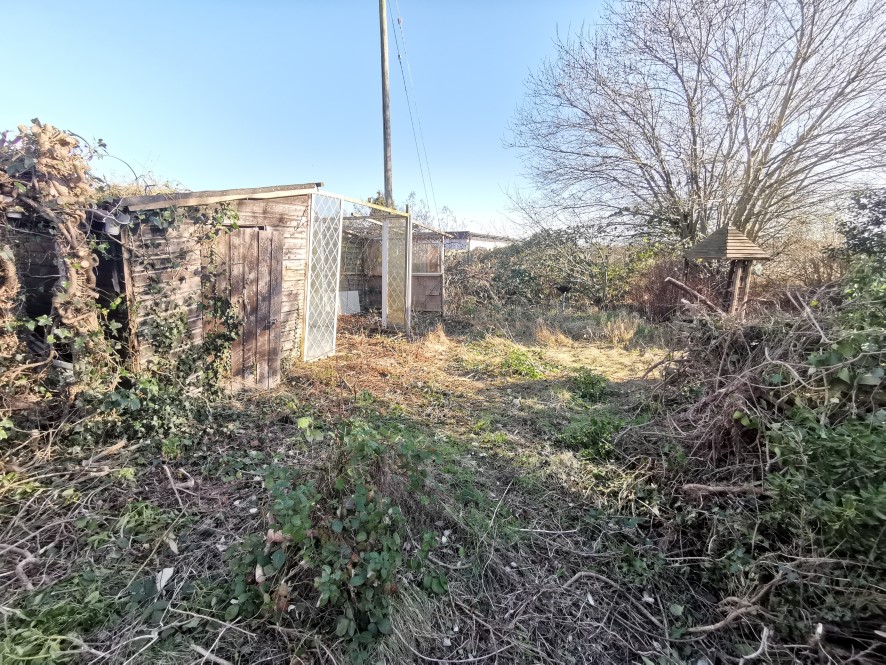 Lot Image