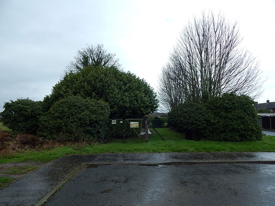 Lot Image