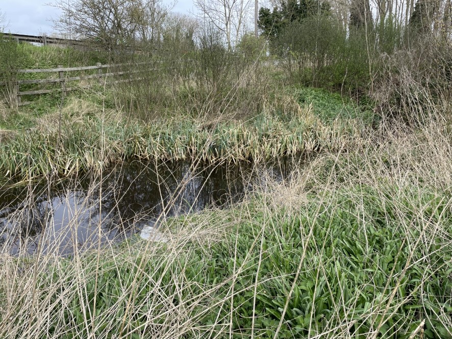 Lot Image