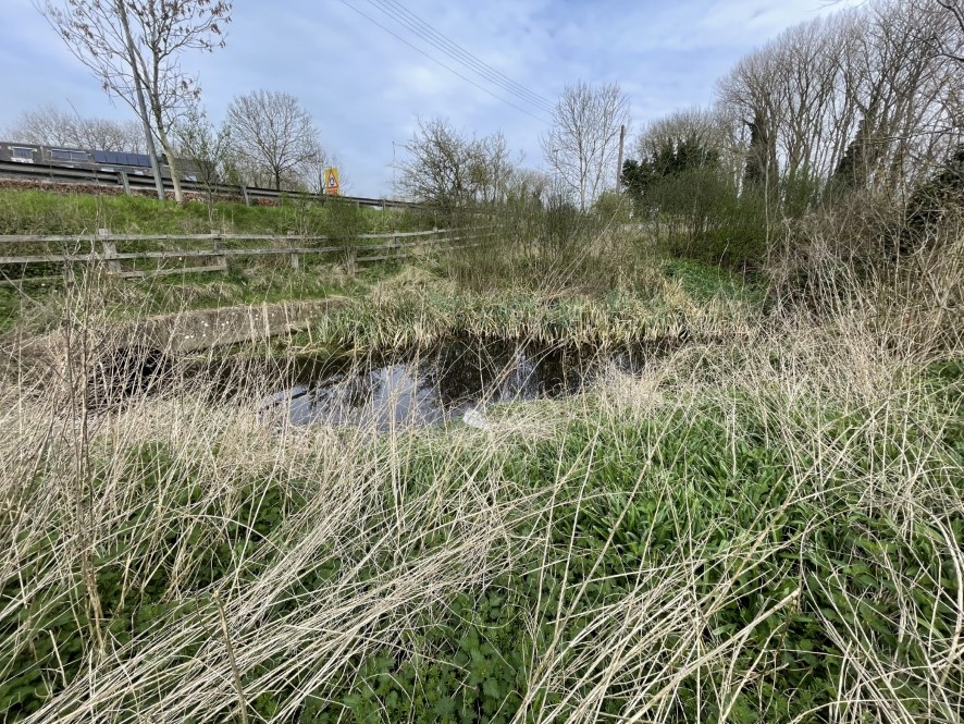 Lot Image