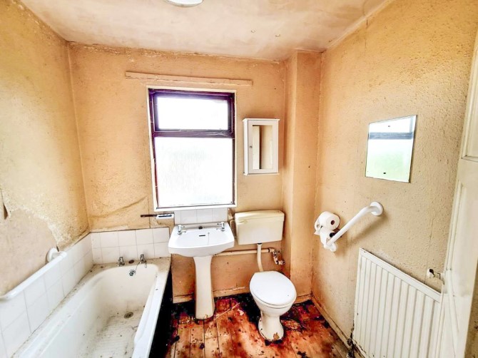 Lot Image