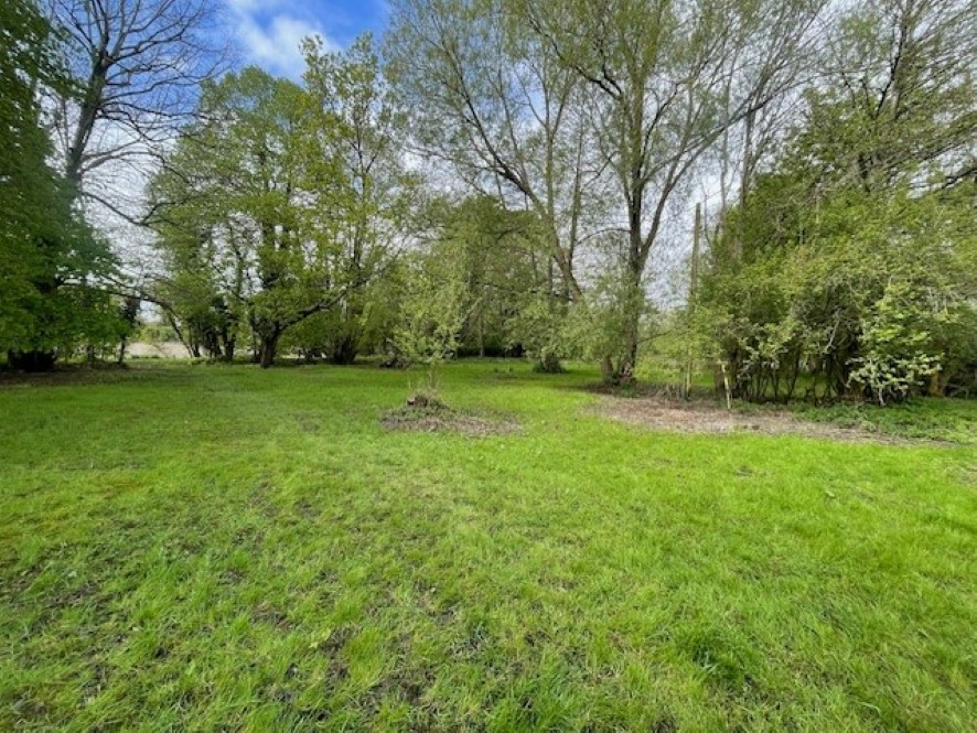Extensive grounds by the property