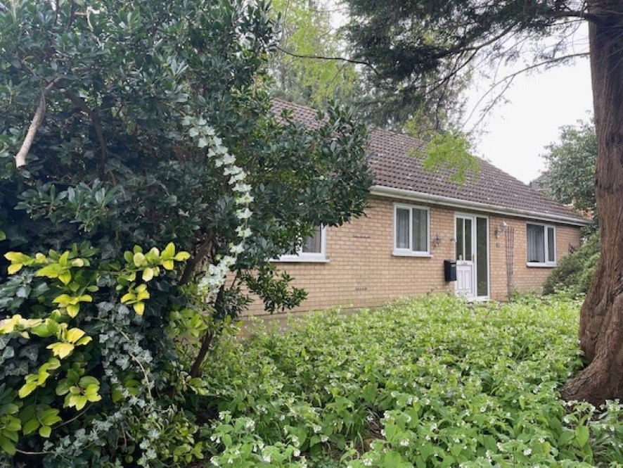 Lot Image