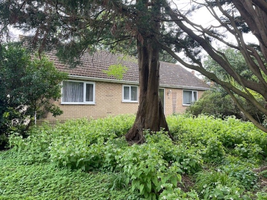 Lot Image