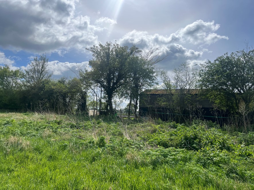 Lot Image
