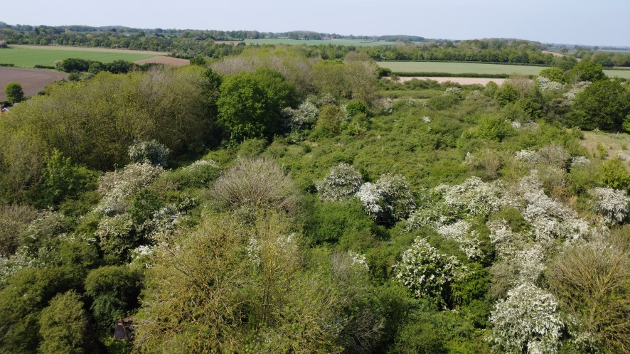Lot Image
