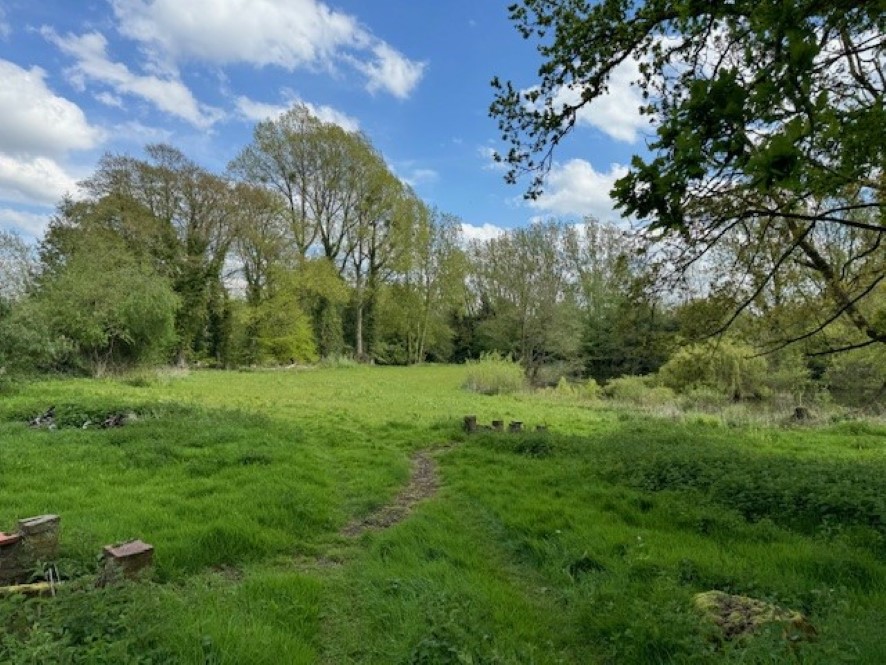 Lot Image