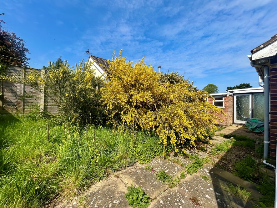 Lot Image