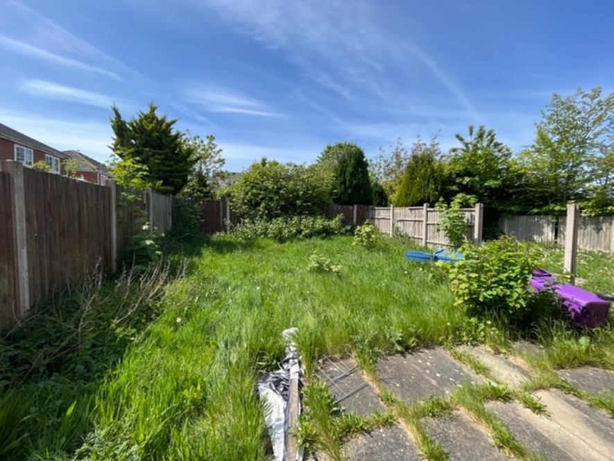 Lot Image