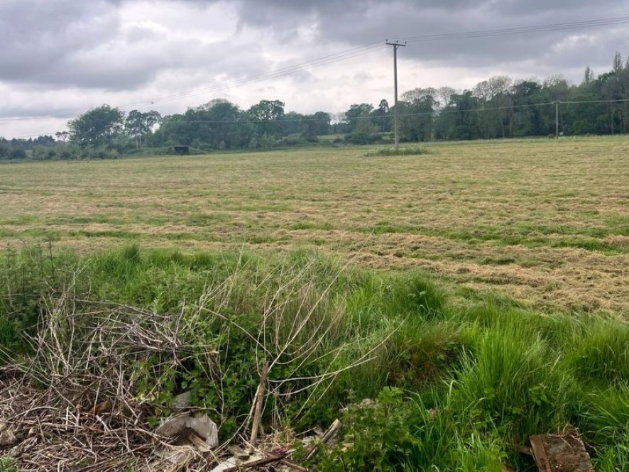 Lot Image