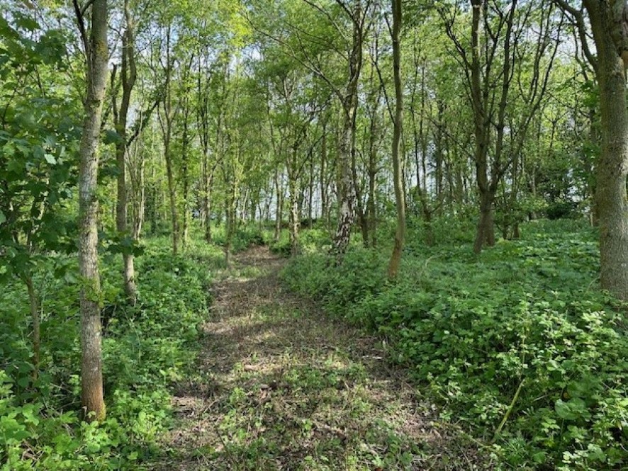Lot Image