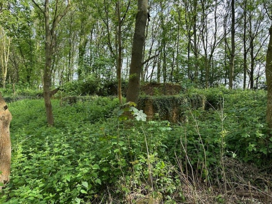 Lot Image