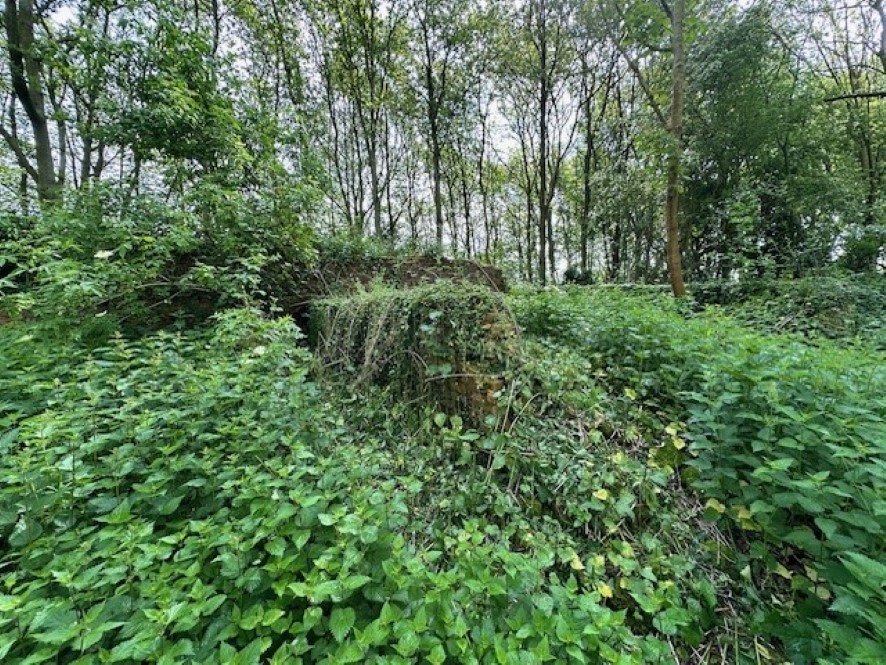 Lot Image