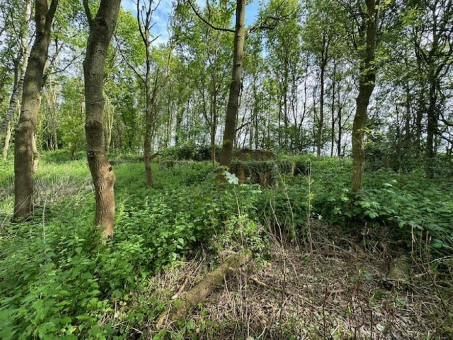 Lot Image