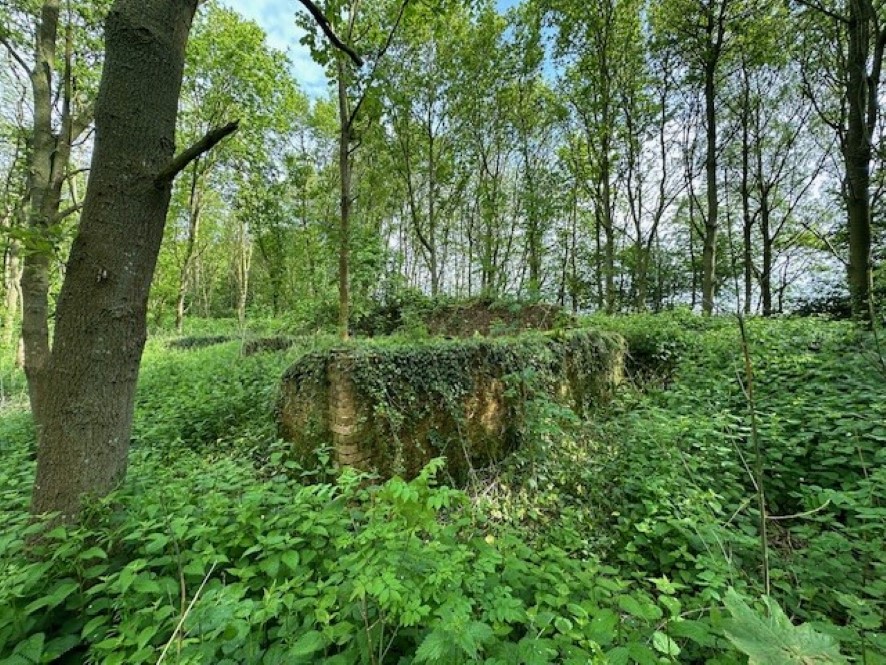 Lot Image