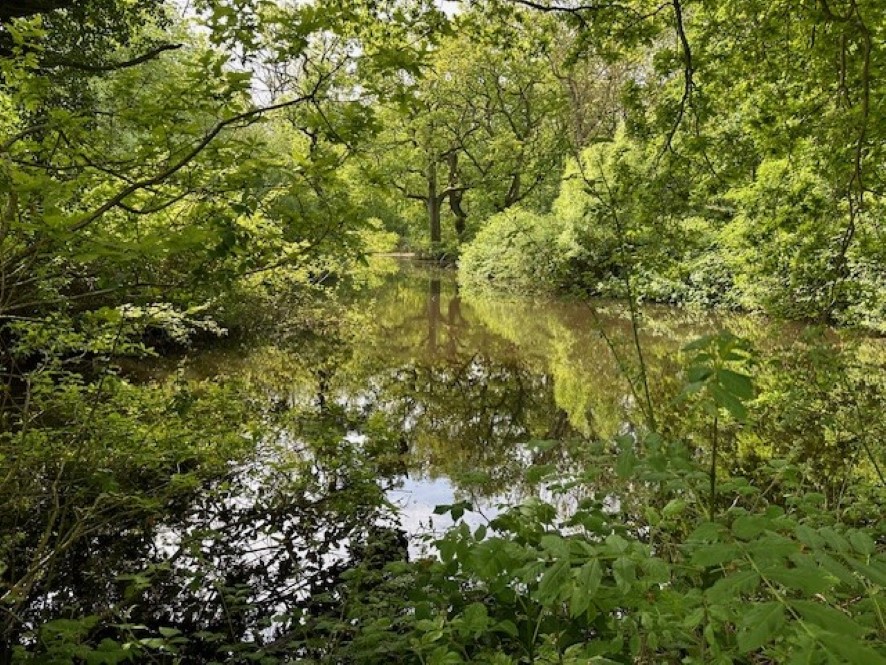Lot Image
