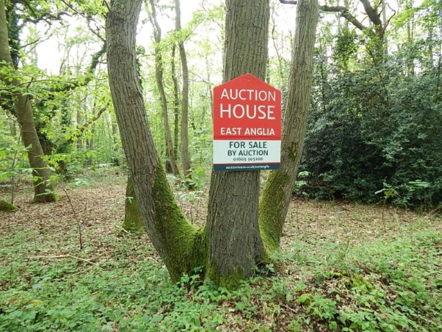 Lot Image