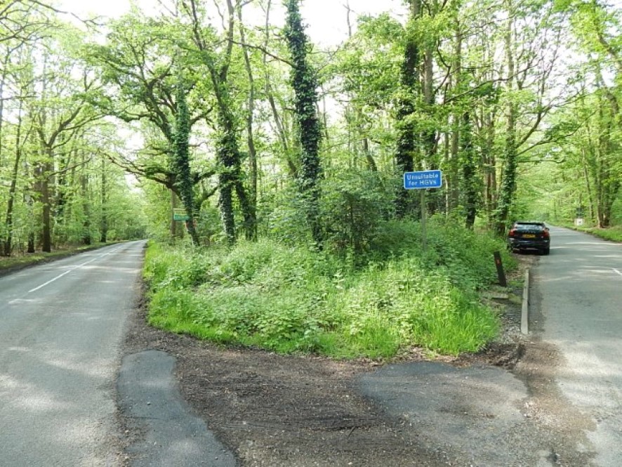 Lot Image