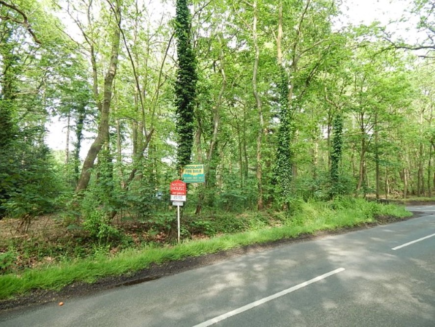 Lot Image