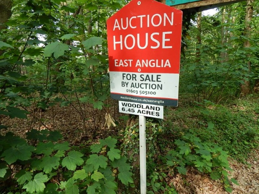 Lot Image
