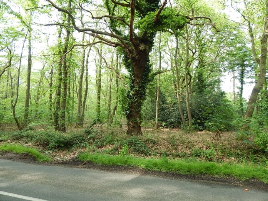 Lot Image