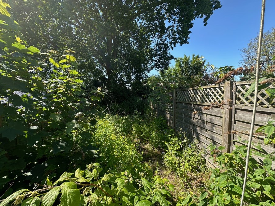 Lot Image