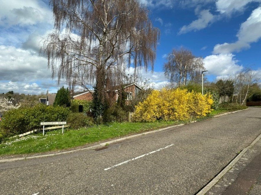 Lot Image