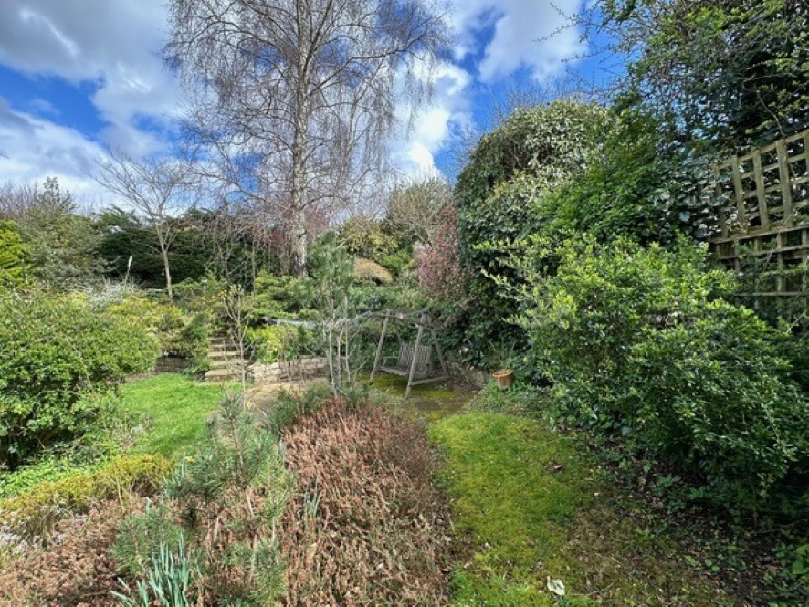 Lot Image