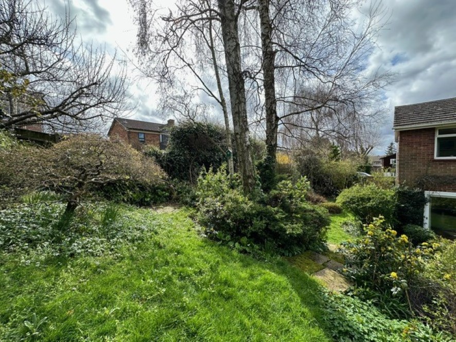 Lot Image