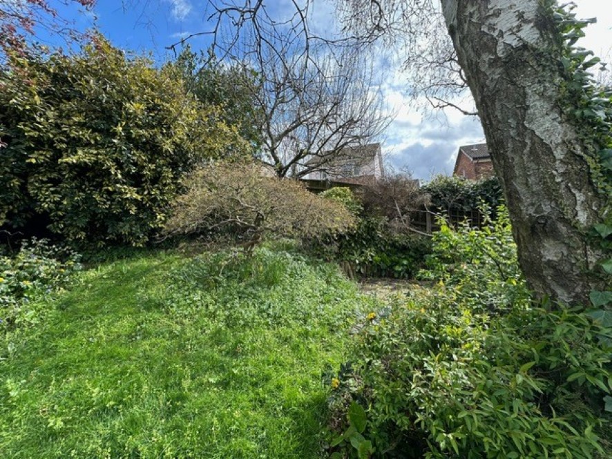 Lot Image