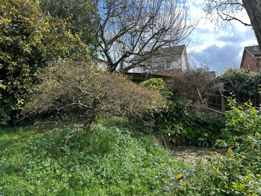 Lot Image