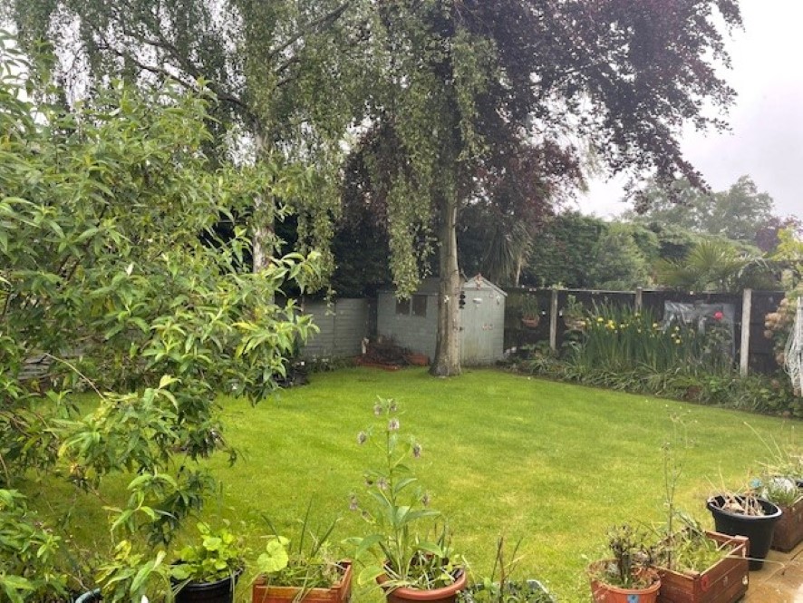 Lot Image
