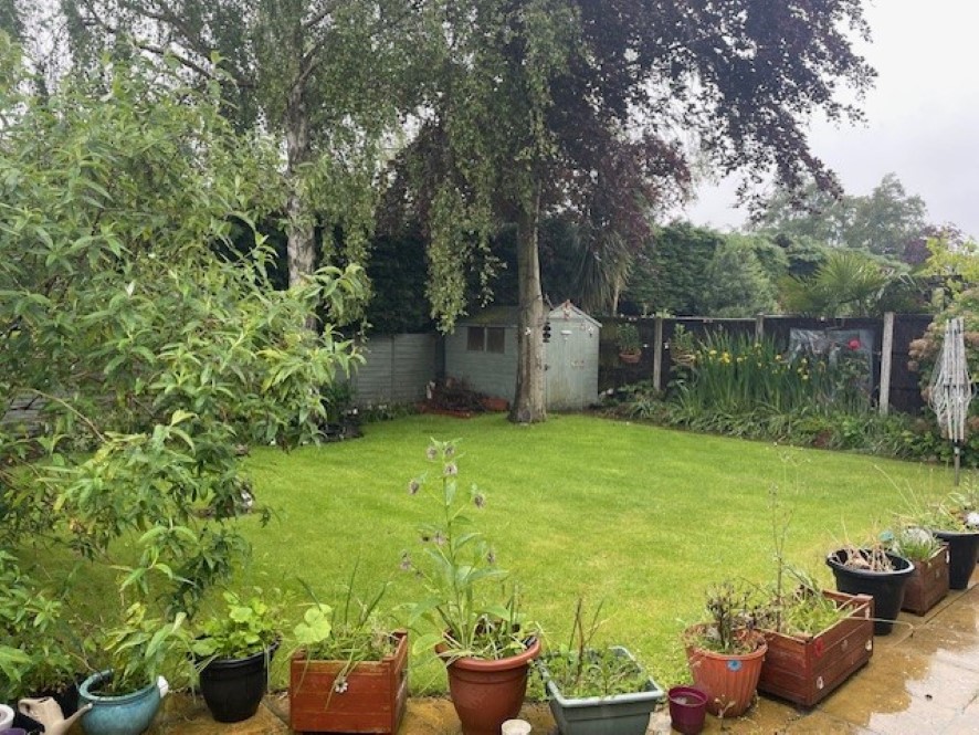 Lot Image