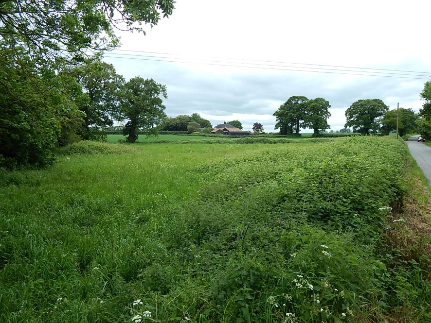 Lot Image